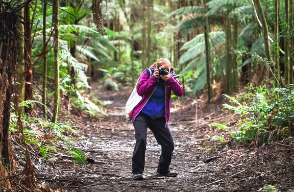 Bir uzun yürüyüşe çıkan kimse bir fotoğraf çekmek için ormanlık bir iz üzerinde durur. Büyük Otway Milli Park, Avustralya.