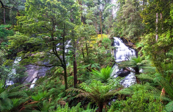 Тройной Водопад Национальном Парке Грейт Отвей Штат Виктория Австралия — стоковое фото