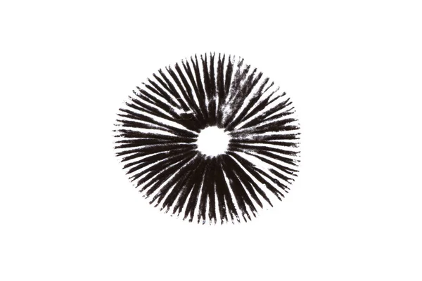 Un hongo deja una huella de espora negra sobre un fondo blanco . Imagen De Stock
