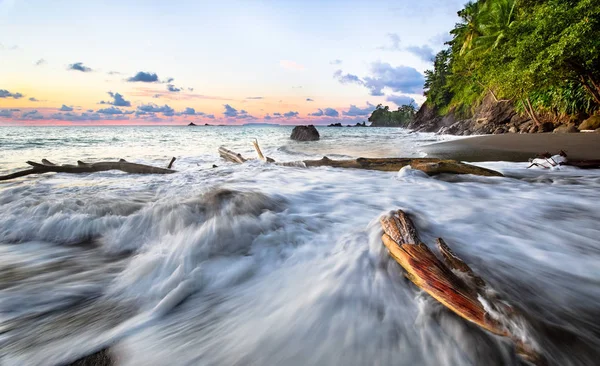 Onde che si infrangono sul legno alla deriva al tramonto, Costa Rica — Foto Stock