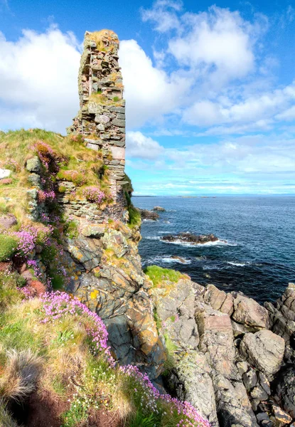 Rosa blommor och layered rock på kusten i Skottland — Stockfoto
