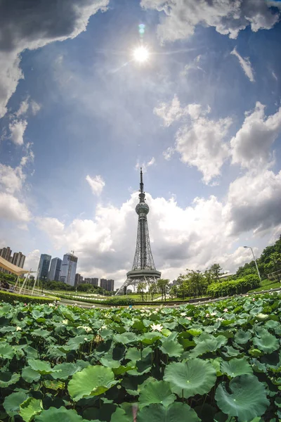 Foshan Tower Wenhua Park Provincie Guangdong China — Stockfoto