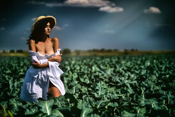 Sexy woman in the hat in the green field Stock Picture