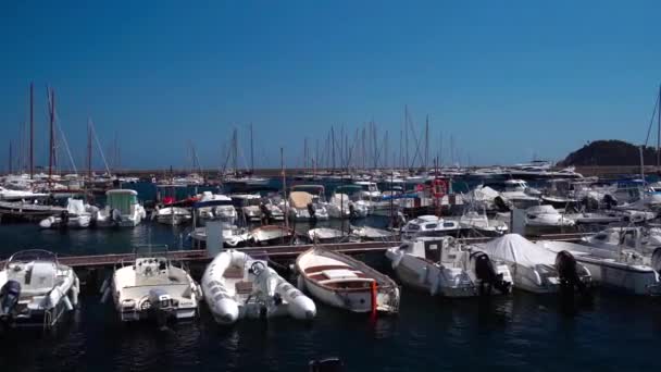 地中海沿岸海湾的许多游艇 — 图库视频影像