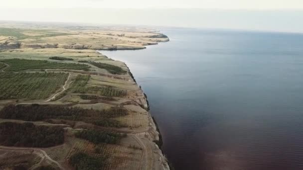 Blick Von Oben Auf Den Großen See Und Die Grünen — Stockvideo