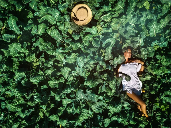 Mujer sexy acostada en un campo verde — Foto de Stock