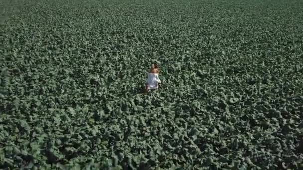 Una Mujer Vestido Blanco Camina Por Campo Verde Con Brócoli — Vídeo de stock