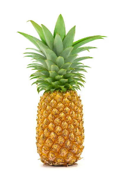 Verse Ananas Met Blad Geïsoleerd Witte Achtergrond — Stockfoto