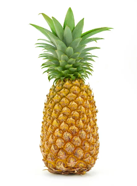 Frische Ananas Mit Blatt Isoliert Auf Weißem Hintergrund — Stockfoto