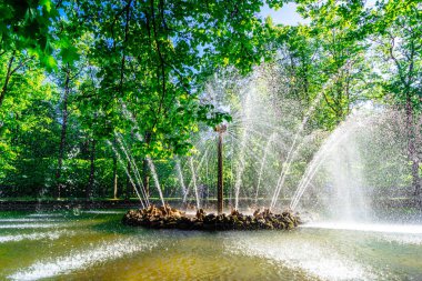 çeşmeler ve Mimarlık Peterhof, Rusya Federasyonu