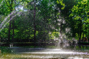 çeşmeler ve Mimarlık Peterhof, Rusya Federasyonu