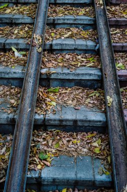 Uyuyanlar tren için sonbahar yaprakları