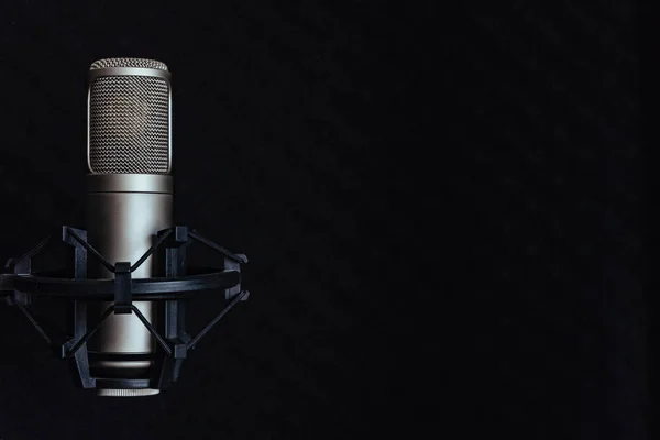 condenser professional microphone in studio