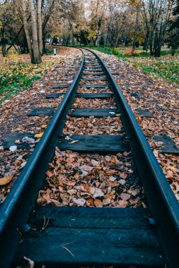 Uyuyanlar tren için sonbahar yaprakları