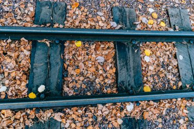 Uyuyanlar tren için sonbahar yaprakları
