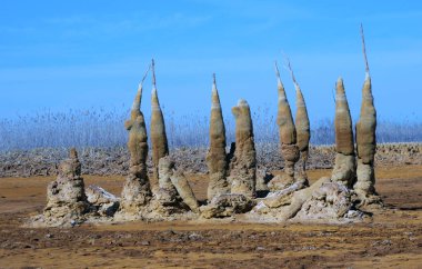 Meraklı manzara dünya dışı yönü, nerede su benim bir pirit dökülen bir bataklıkta bulundu. Ne zaman su ölü ağaçlar kapsar, mineraller katmanlarında, biri diğerinin, kabuğu renkleri ve inanılmaz şekiller oluşturan yatırılan.