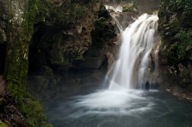 Bir dağ nehrinde küçük şelaleler, kıyılarda yosun ve eğrelti otları ile