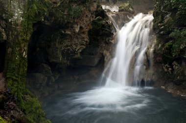 Bir dağ nehrinde küçük şelaleler, kıyılarda yosun ve eğrelti otları ile