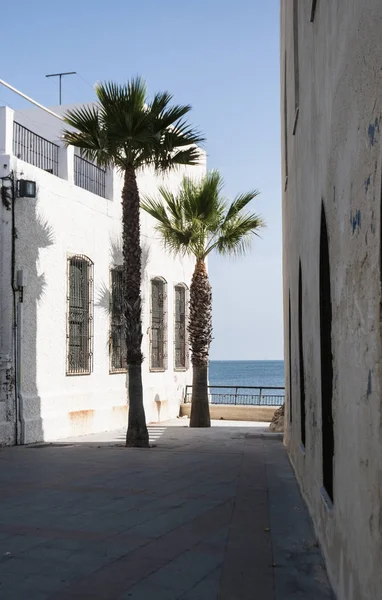 Bonito rincón de Chipiona en Andalucía con el mar azul al fondo y palmeras en el centro de la imagen — Foto de Stock