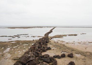 Chipiona plajlarında balık antik taş kalem ve yosun