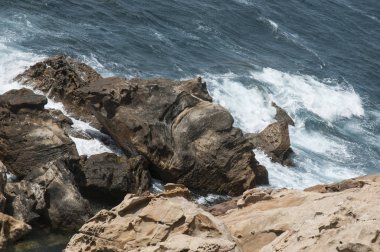 Arka planda kayalar ve onlara karşı dayak dalgaları ile Cliff