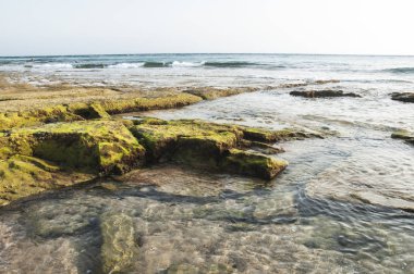 Arka planda deniz ve mavi gökyüzü ile yosun tarafından yeşilimsi kayalar ile ton balığı Zahara plaj