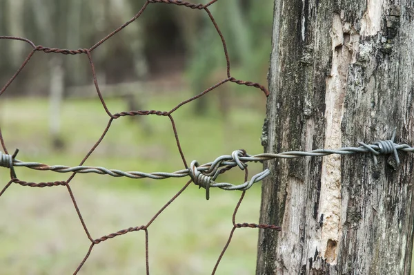 Mesh and barbed wire to enclose cattle