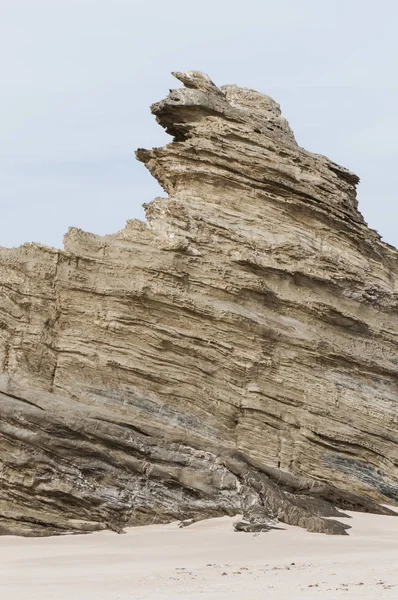 해변에서 솟아나는 날카롭고 침식된 바위 — 스톡 사진