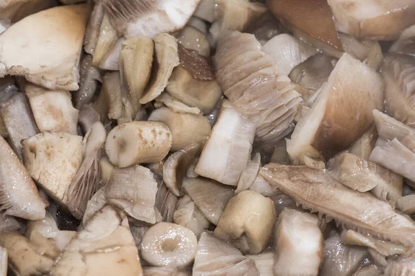 Agrocybe Cylindracea Eller Aegerita Poppel Eller Kastanj Svamp Hög Kvalitet — Stockfoto