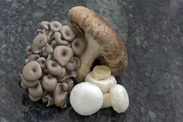 Three kinds of mushrooms on black granite with bay laurel leaves