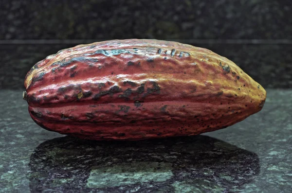 The colorful cacao fruit, Theobroma cacao, basic raw material of the chocolate, on black granite background