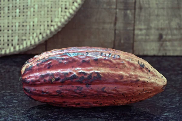 The colorful cacao fruit, Theobroma cacao, basic raw material of the chocolate, on black granite background