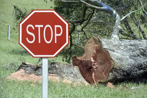 Sustainability concept: traffic stop sign in front of fallen trees, symbolizing call for help from the forest
