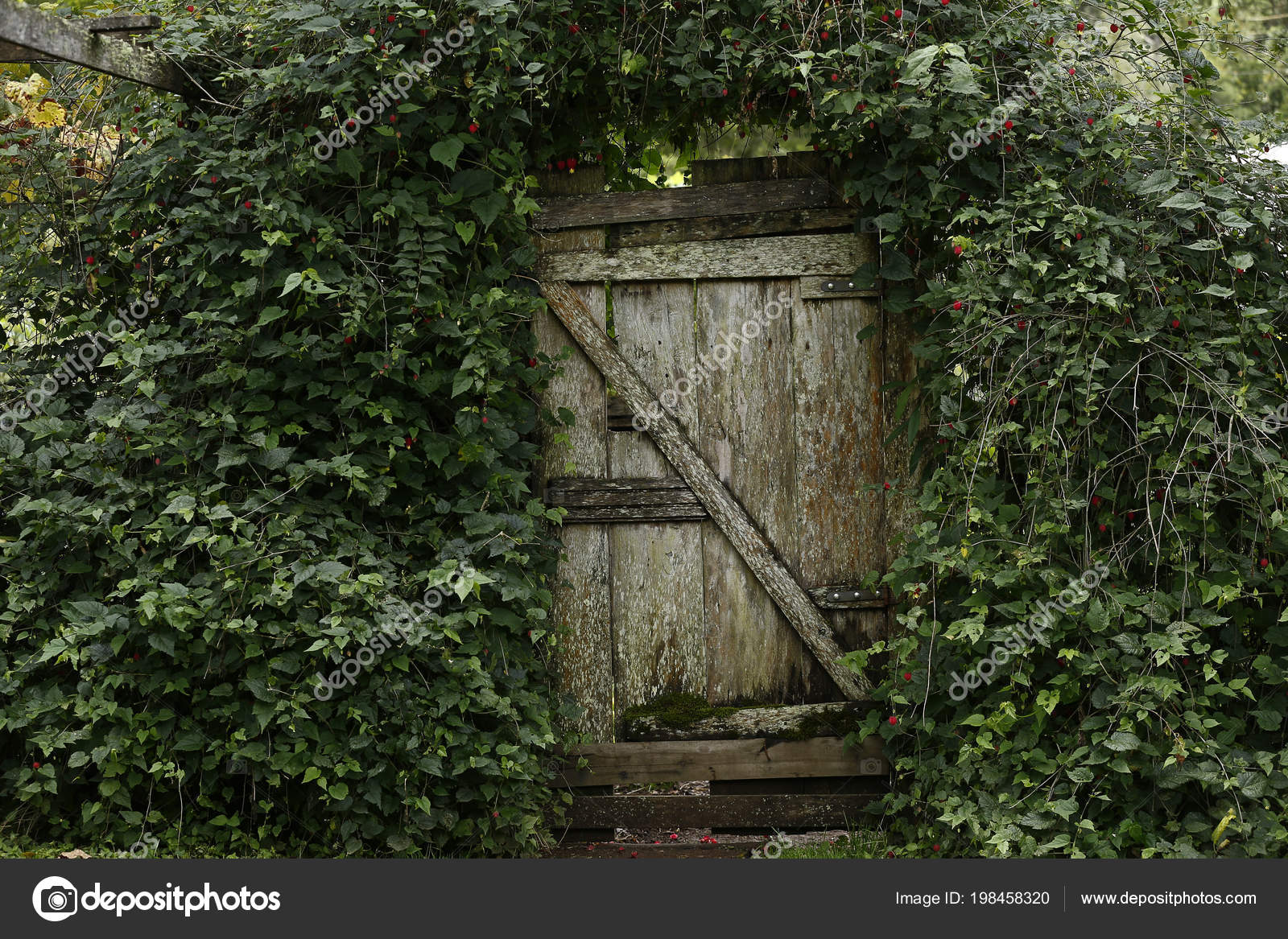 Old Garden Gate Stock Photo Jaboticabafotos 198458320 Old Garden Gate Stock Photo