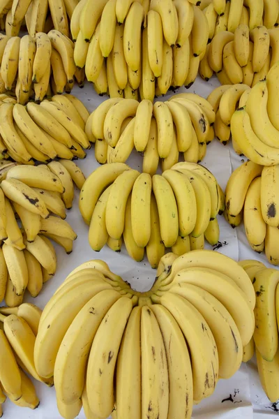 Banana bunches in open-air market stall. Brazil