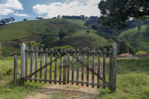 Farm gate with trees and grass in the background. Brazil