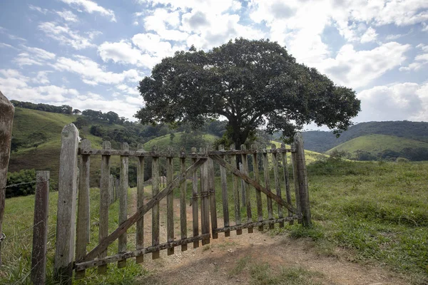 Farm gate with trees and grass in the background. Brazil