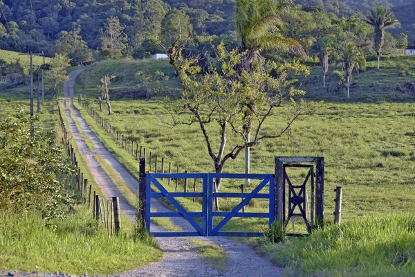 Wooden farm gate painted blue with dirt road, trees and grass in the background. Brazil