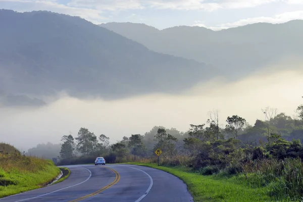 Freeway in morning fog, with car, hills and trees. Rio Santos Road, Sao Paulo, Brazil