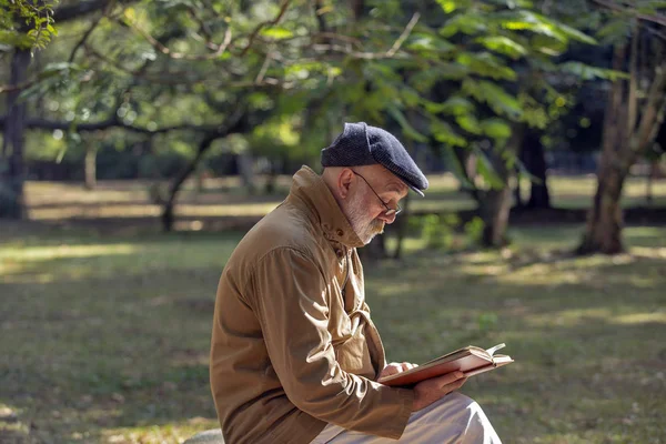 Old man with a white beard sitting on the park bench reading a book, with trees in the background. Brazil