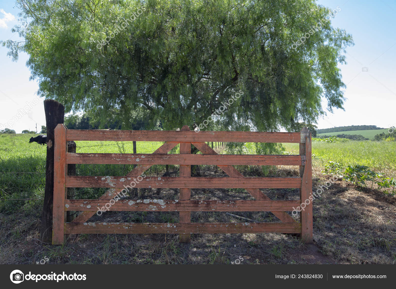 Download 930+ Background Information Of Orange Farm Paling Keren