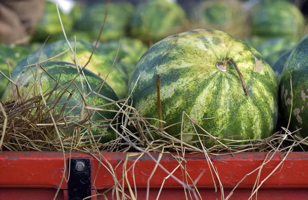 Watermelons in the fruit truck body