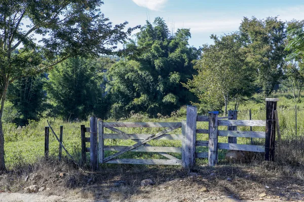 Grey farm gate, with fence, trees and grass