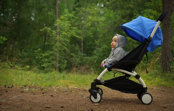 Портрет маленького вдумчивого ребенка в толстовке на голове, сидящего в детской коляске в зеленом парке, путешествующего ребенка — стоковое фото