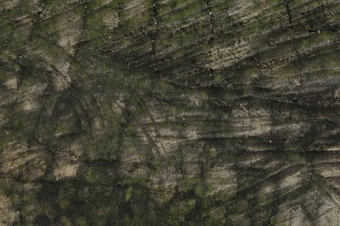 Gri beton arka plan görünümünü kapat