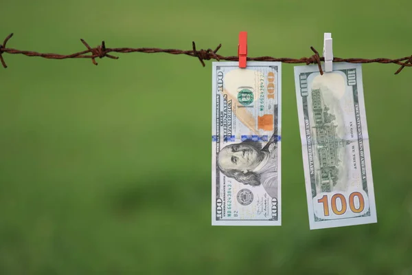 Dollar Bills Hanging Barbed Wire Green Grass Background — Stock Photo, Image