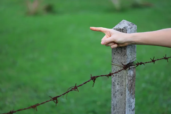 Female Hand Pointing Barbed Wire — Stock Photo, Image
