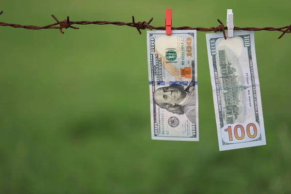 Dollar Bills Hanging Barbed Wire Green Grass Background — Stock Photo, Image