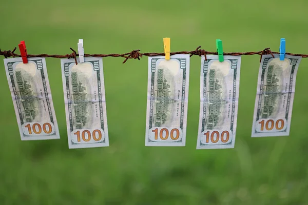 Dollarbiljetten Opknoping Prikkeldraad Tegen Groen Gras Achtergrond — Stockfoto