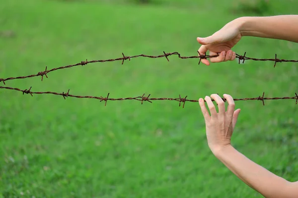 Hands Holding Barbed Wire Green Grass Background — Stock Photo, Image